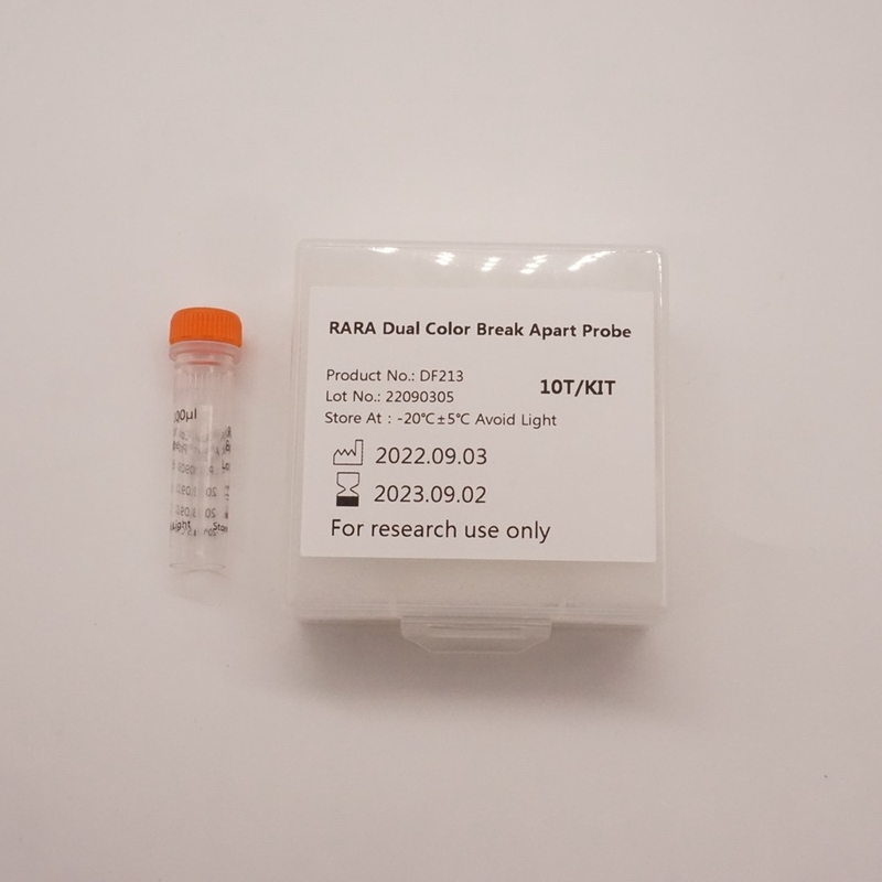 RARA Dual Color Break Apart Probe For Detecting Abnormality Of Human RARA Gene