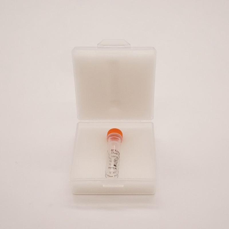 Fluorescence In Situ Hybridization Reagent BCR ABL1 Dual Color Dual Fusion Probe