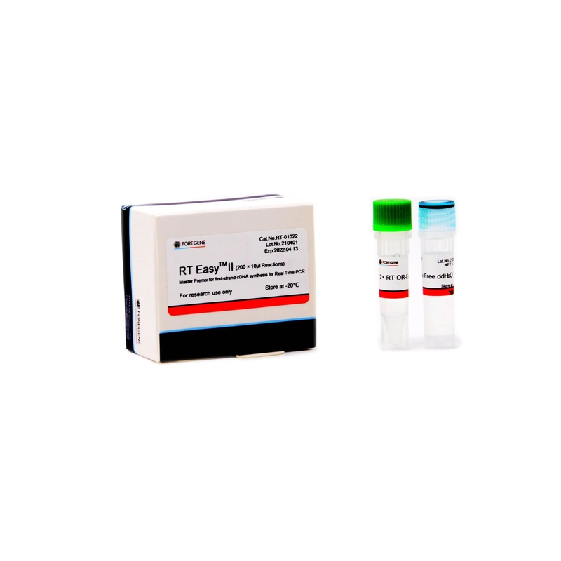 Reverse Transcription System RT Easy II Master Premix For Real Time PCR product cDNA synthesis