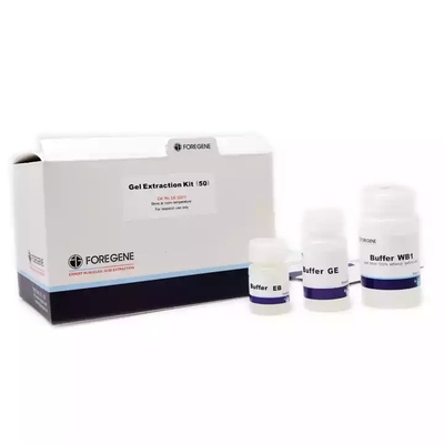 High Recovery Efficiency DNA Gel Isolation Kits For DNA Fragments From Agarose Gel