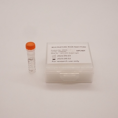 BCL6 Dual Color Break Apart Probe For Detecting Abnormality Of Human BCL6 Gene