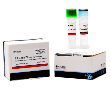 Real Time PCR Transcriptor First Strand CDNA Synthesis Kit High Sensitivity